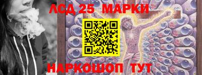 apvp Можга
