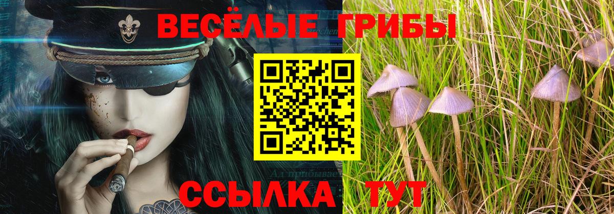 Псилоцибиновые грибы мицелий  Вход с VPN  Галлюциногенные грибы Cubensis  Великий Устюг 